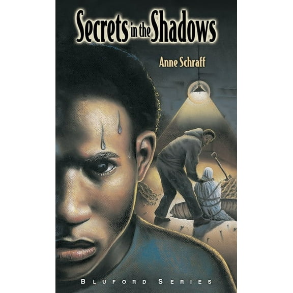 Bluford Secrets in the Shadows: #3, (Hardcover)