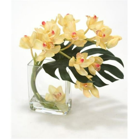 Distinctive Designs 16105C Waterlook Champagne, Burgundy Cymbidium Orchids with Split Philo Leaf in Curved Rectangular Glass Vase - Neutrals