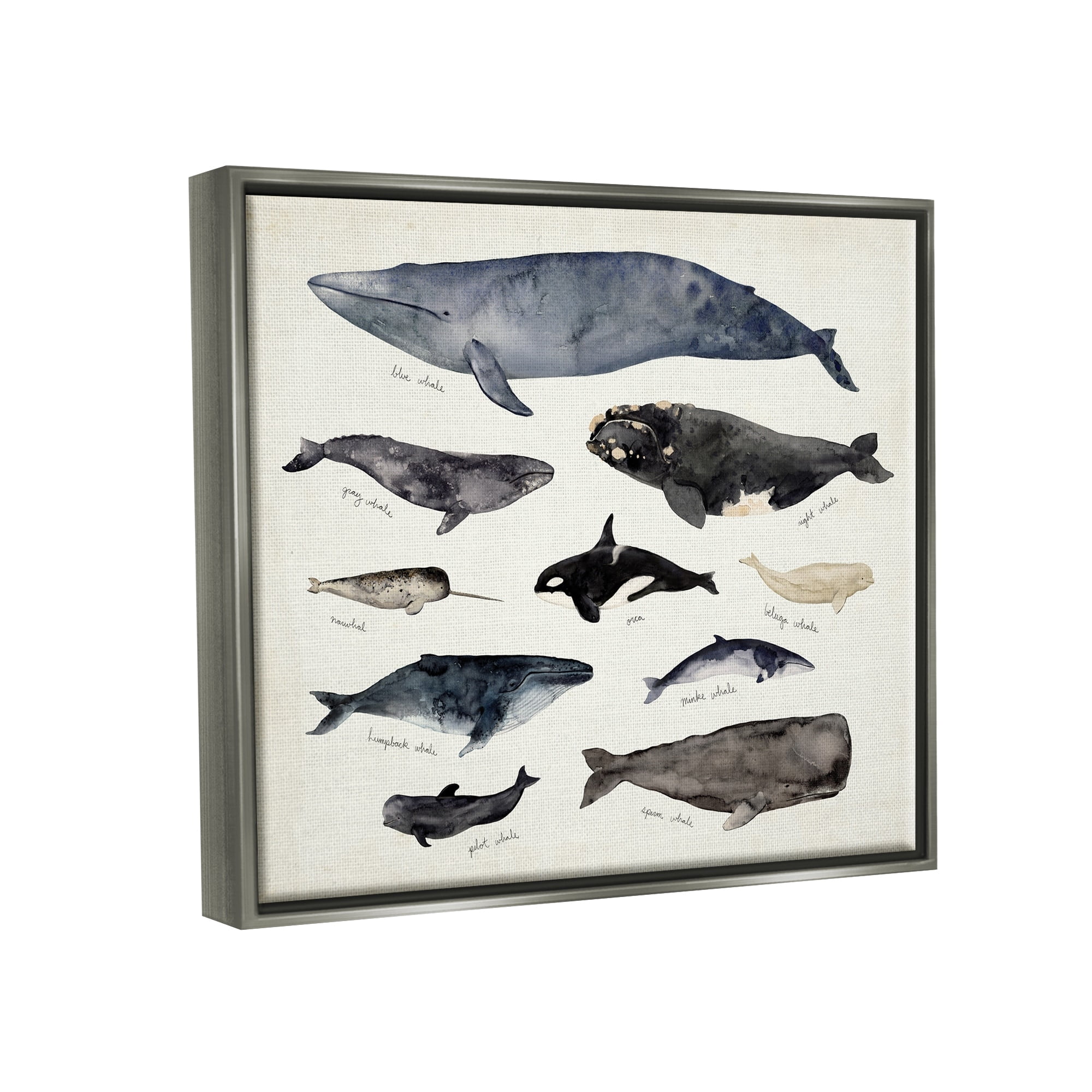 Stupell Industries Vintage Nautical Chart of Whales Ocean Life Luster Gray Framed Floating Canvas Wall Art, 24x30, by Victoria Barnes
