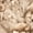 Color 2, variant on Peel and Stick Wallpaper Playful Animals Rhinos Giraffes Plants 24in x 118in Contact Paper Removable Self Adhesive Wall Mural Wall Decor for Bedroom Kitchen Cabinets