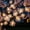 White-2C, variant on MMJ Fiber Optic Flower String Lights 118.1in Outdoor Waterproof Artificial Floral Garland for Wedding Party Holiday Decor