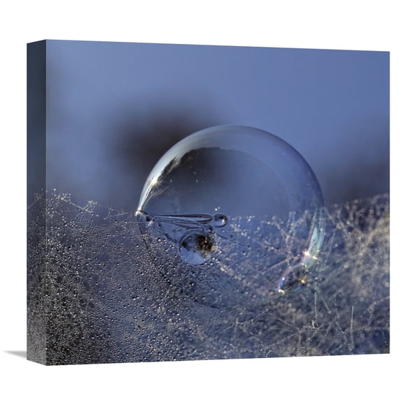 Global Gallery Kent Mathiesen 'Blue Bubble Morning' Canvas Wall Art