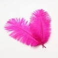 thumbnail image 4 of 20 Pcs Natural Ostrich Feathers,8-10 Inch/ 20-25 cm Plumes Feathers for Crafts,Rose Red Ostrich Feathers Bulk for DIY Home Decoration Christmas Wedding Party Centerpieces Vase Decor, 4 of 8
