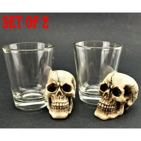 [ Set of 2] Unique Skull Shot Glass Skull Head Cup Spooky Pirate Shot for Wine Vodka Whiskey Cocktail, Party Bar