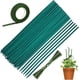 thumbnail image 1 of 50 unidades de estacas verdes para plantas, varillas de soporte de bambú con cinta de papel de 30 yardas y 50 ataduras para plantas, 1 of 5