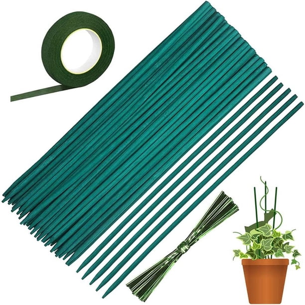 50 unidades de estacas verdes para plantas, varillas de soporte de bambú con cinta de papel de 30 yardas y 50 ataduras para plantas