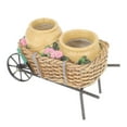 thumbnail image 1 of unbranded Maceta De Carrito En Resina Y Hierro Para Plantas Suculentas Hogar Oficina, 1 of 6