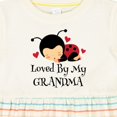thumbnail image 4 of Inktastic Loved by Grandma Ladybug Girls Baby Dress, 4 of 5