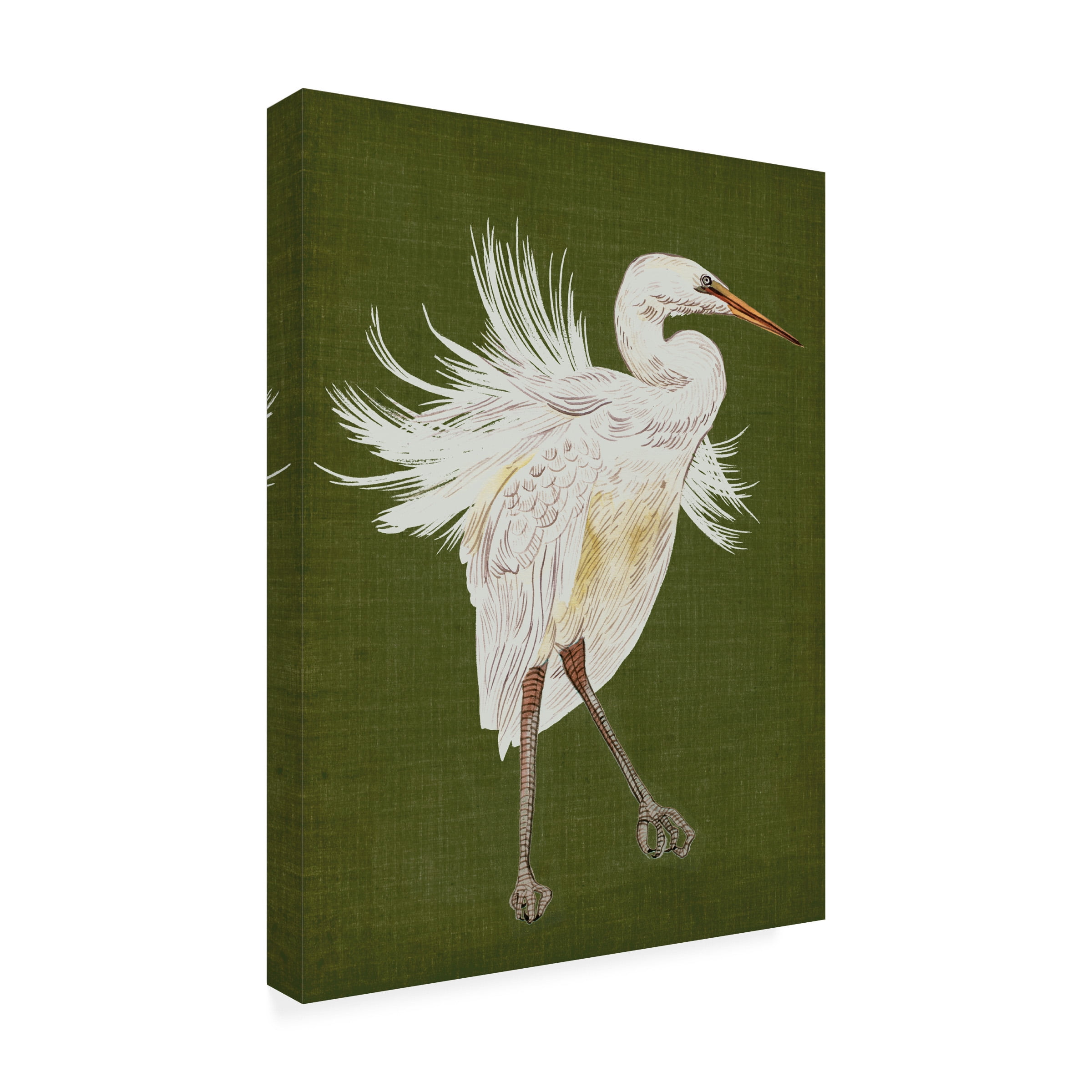 Melissa Wang 'Heron Plumage I' Canvas Art