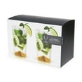 thumbnail image 4 of Viski Gold Accent Tumblers Set of 2 - Cocktail Glasses, Highball Glass Set - 14 oz, 4 of 7