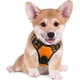 thumbnail image 1 of Rabbitgoo Arnés para Mascotas sin Tirones con 2 Clips para Correa, Acolchado Suave Ajustable, Chaleco Oxford Reflectante para Mascotas sin asfixia con asa de fácil Control para Perros Grandes, Rosa, L, 1 of 4