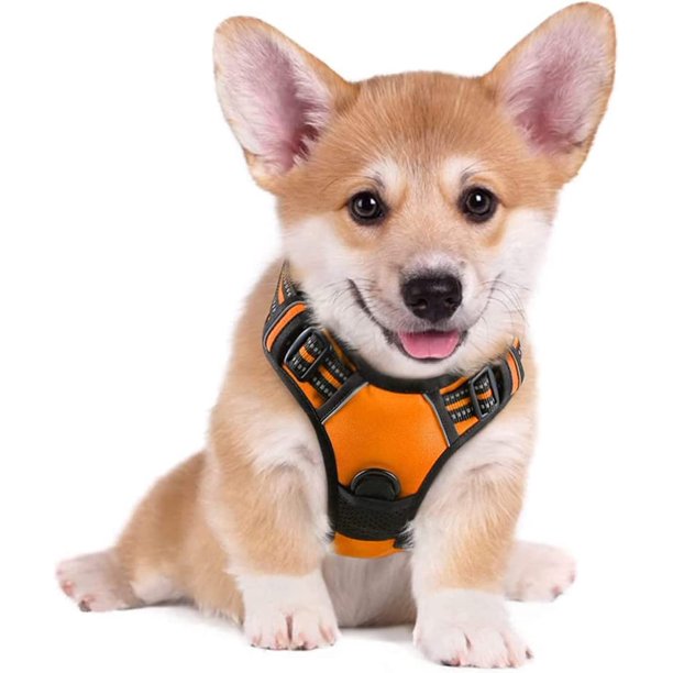 Rabbitgoo Arnés para Mascotas sin Tirones con 2 Clips para Correa, Acolchado Suave Ajustable, Chaleco Oxford Reflectante para Mascotas sin asfixia con asa de fácil Control para Perros Grandes, Rosa, L