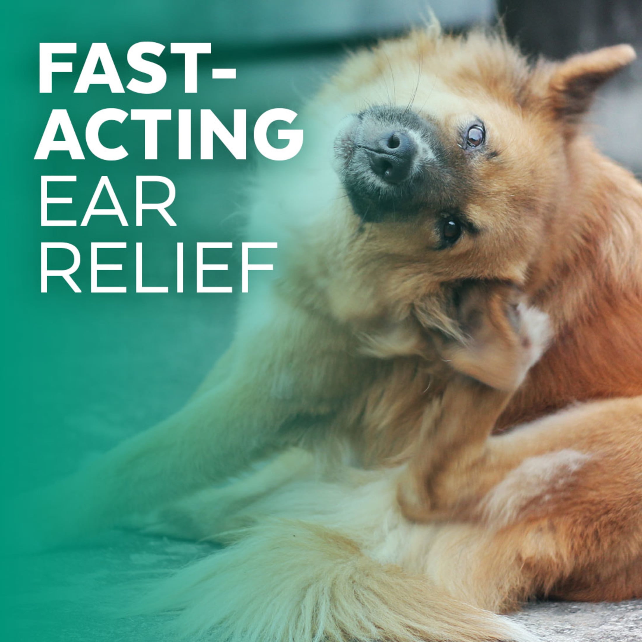 Naturel Promise Clinic Aid Ear Cleaner for Dogs & Cats, Fast Acting, 4oz
