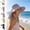 Beige, variant on Txlpkdyx Sun Hat Outdoor Wide Brimmed Sun Protection Hat Windproof Fisherman Hat Breathable Sun Hat Travel Leisure Hat Spring And Summer Sunscreen Hat