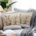thumbnail image 2 of Throw Pillow Covers 18x18 Inch Set of 2, Easter Bunny Blue, Waterproof Outdoor Pillow Covers, Rustic Daisy Flower Easter Basket Egg Decorative Cushion Pillowcases for Couch, Sofa, Bed, Garden, Patio, 2 of 9
