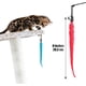 thumbnail image 3 of 12 Uds. De gusano de cola de piel de repuesto para gatos con campana, juguetes interactivos de caza para gatos, accesorios de repuesto para varita para gatitos JM  Cocina, Decoración y Otros, 3 of 5