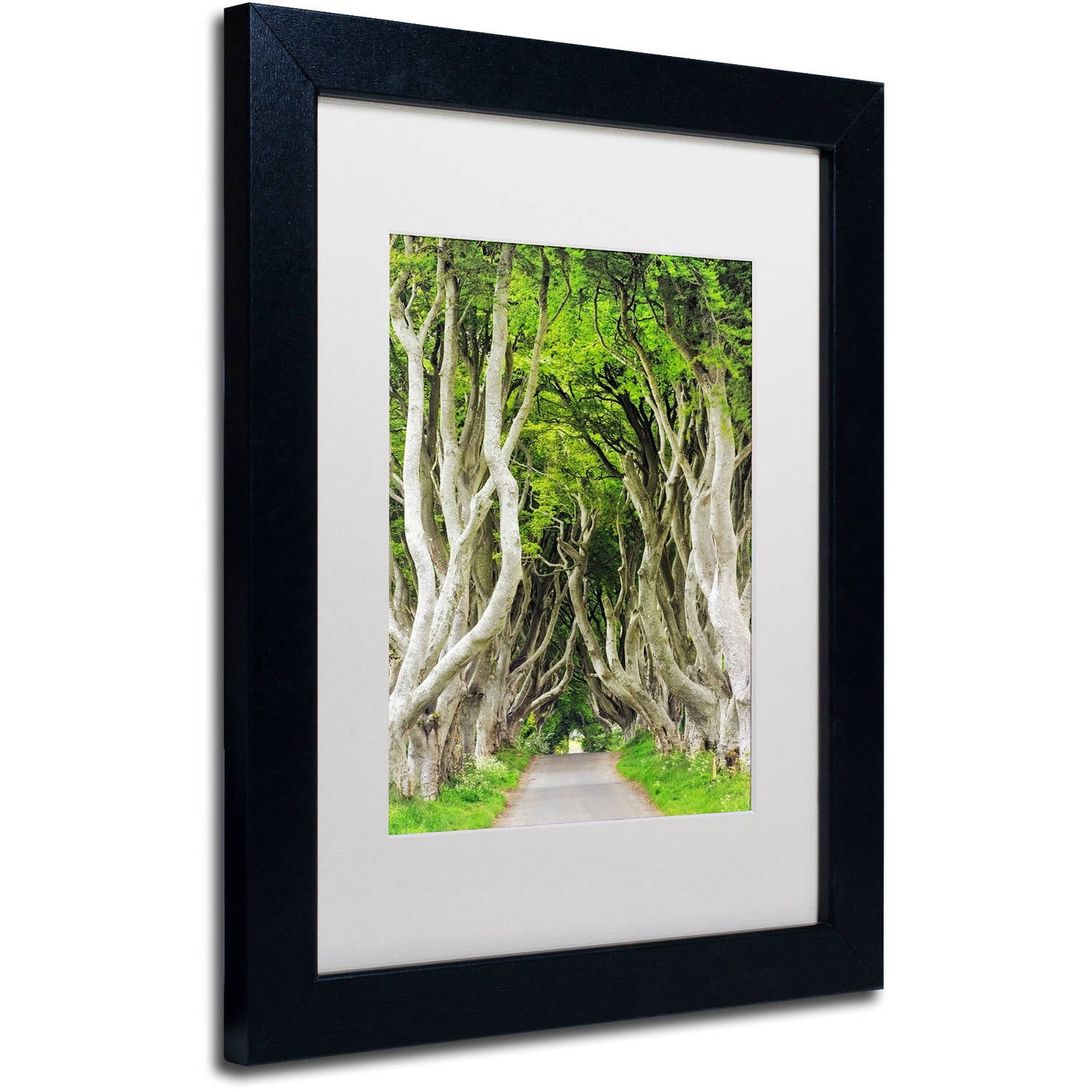 Trademark Fine Art "The Dark Hedges" Canvas Art by Philippe Sainte-Laudy, White Matte, Black Frame