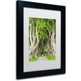 thumbnail image 2 of Trademark Fine Art "The Dark Hedges" Canvas Art by Philippe Sainte-Laudy, White Matte, Black Frame, 2 of 4