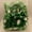 Green, variant on YTTALW 100 Pc Star Gift Bows, 3 Sizes 1in/1.5in/2in Self Adhesive Mini Bows for Christmas Gift Wrapping & Holiday Decor