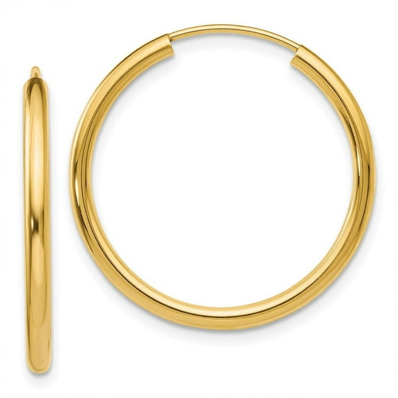 Primal Gold 14K Yellow Gold Round Endless 2mm Hoop Earrings
