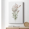 thumbnail image 6 of Dainty Botanical II Premium Gallery Wrapped Canvas - Ready to Hang, 6 of 9