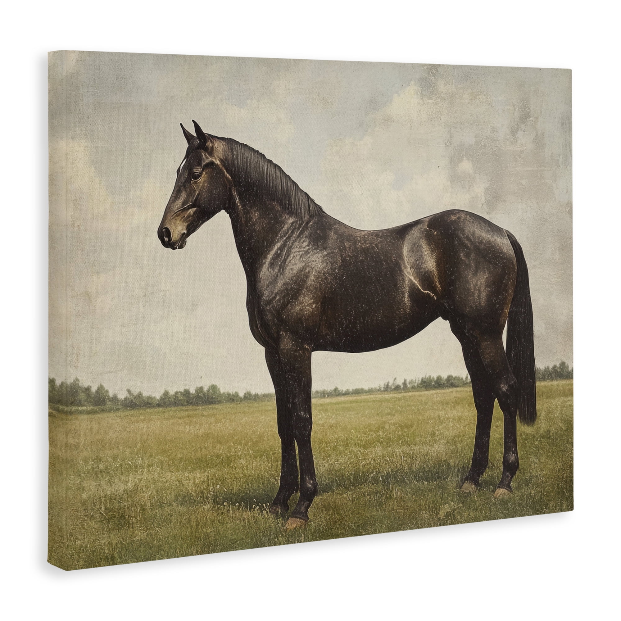 Stupell Industries Espresso Horse in Pastoral Field Canvas Wall Art, design by Petal Prints Design