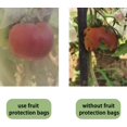 thumbnail image 3 of Jinsinto 100pcs Garden Plant Fruit Protection Bag Drawstring Net Bag Insect Mosquito Insect Pest Birds Garden Protect Bags 10cm X 15cm, 3 of 5