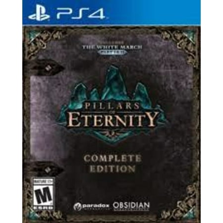 Pillars of Eternity, 505 Games, PlayStation 4,