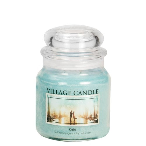 Dual Wick Scented 16oz Wild Rose Village Candle Medium Jar 