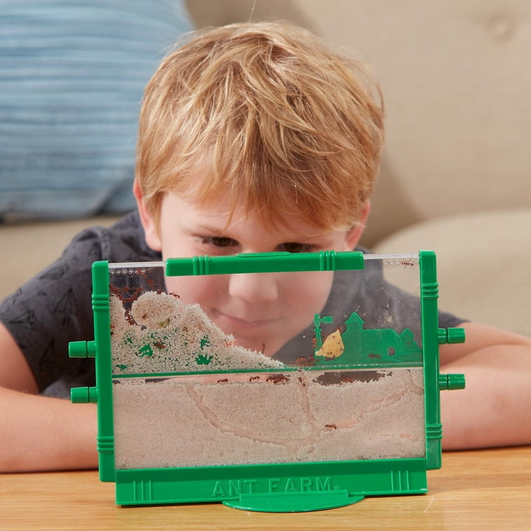 Uncle Milton's Retro Ant Farm - Walmart.com
