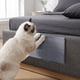 thumbnail image 1 of Rascador de Pared para Gatos: Alfombrilla Alta Antideslizante para Que Tu Gatito Arañe, Juguete Multifuncional para Gatos de Interior Que No Acumula Residuos., 1 of 6