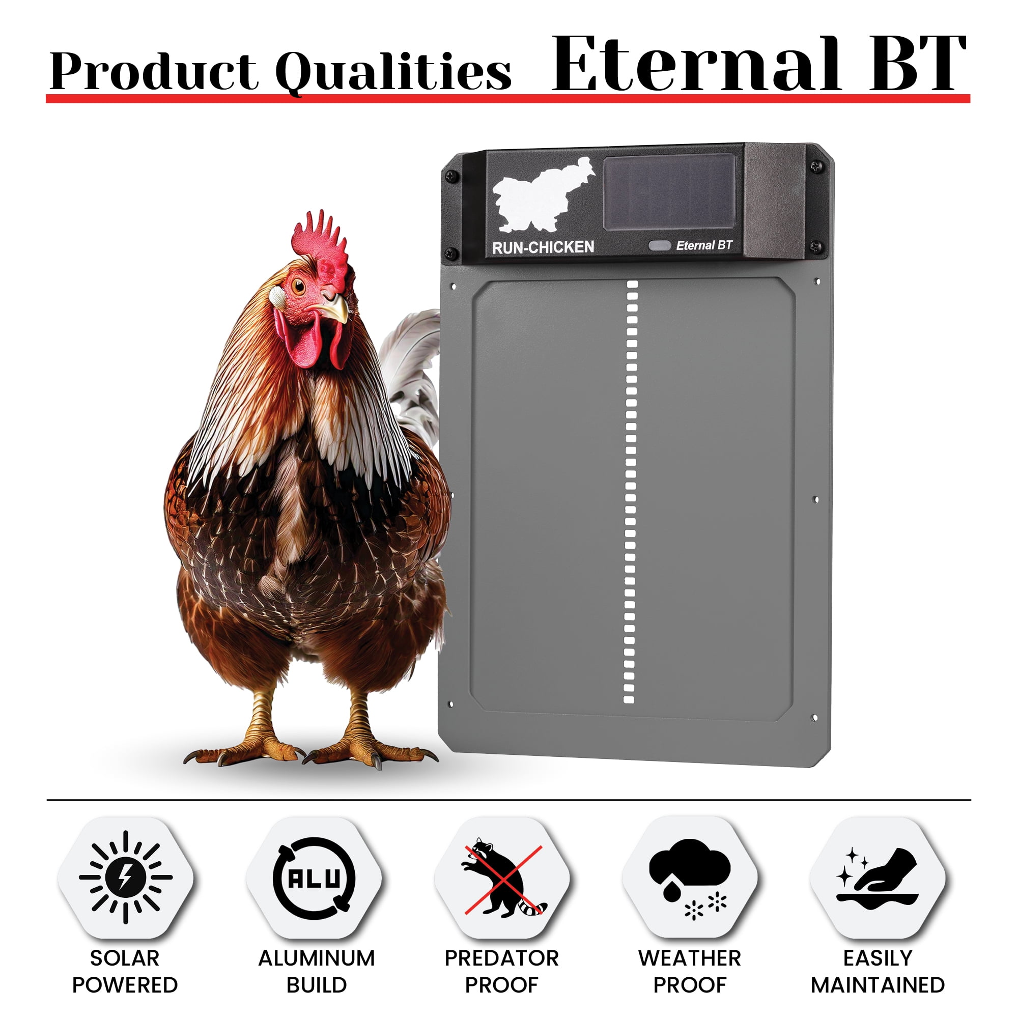 Eternal BT RUN-CHICKEN Door – Solar-Powered Automatic Coop Door with Bluetooth Control (Gray)