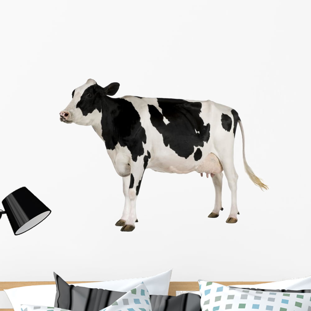 Augper Clearance Funny Cow Wall Decor Room Decor Cute Cow Prints Decor Cow  Gifts Cow Stickers Cow Print Vinyl Wall Art Decals Animal Wall Decals for  Bedroom Living Room Nursery Wall Decorations 