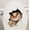 cat1, variant on Cute Cats Wall Sticker Hole View Vivid Bathroom 3D Toilet Stickers For Home Decoration Animals Decals Self-adhesive Poster