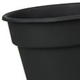 thumbnail image 4 of Mainstays Flint Resin Planter 6 in Rich Black, 4 of 6