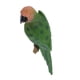 thumbnail image 5 of 20 tipos de figuras de loros grandes de resina, juguetes para niños y hogar. 31 cm Mira a la izquierda verde, 5 of 9