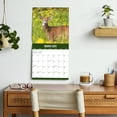 202512 Month Hanging Wall CalendarBuck Commander12x12 by Dayspring