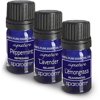 SpaRoom 100% Therapeutic Grade Essential Oil Everyday Sensory 3-Pack Lavender/Lemongrass/Peppermint, 10ml