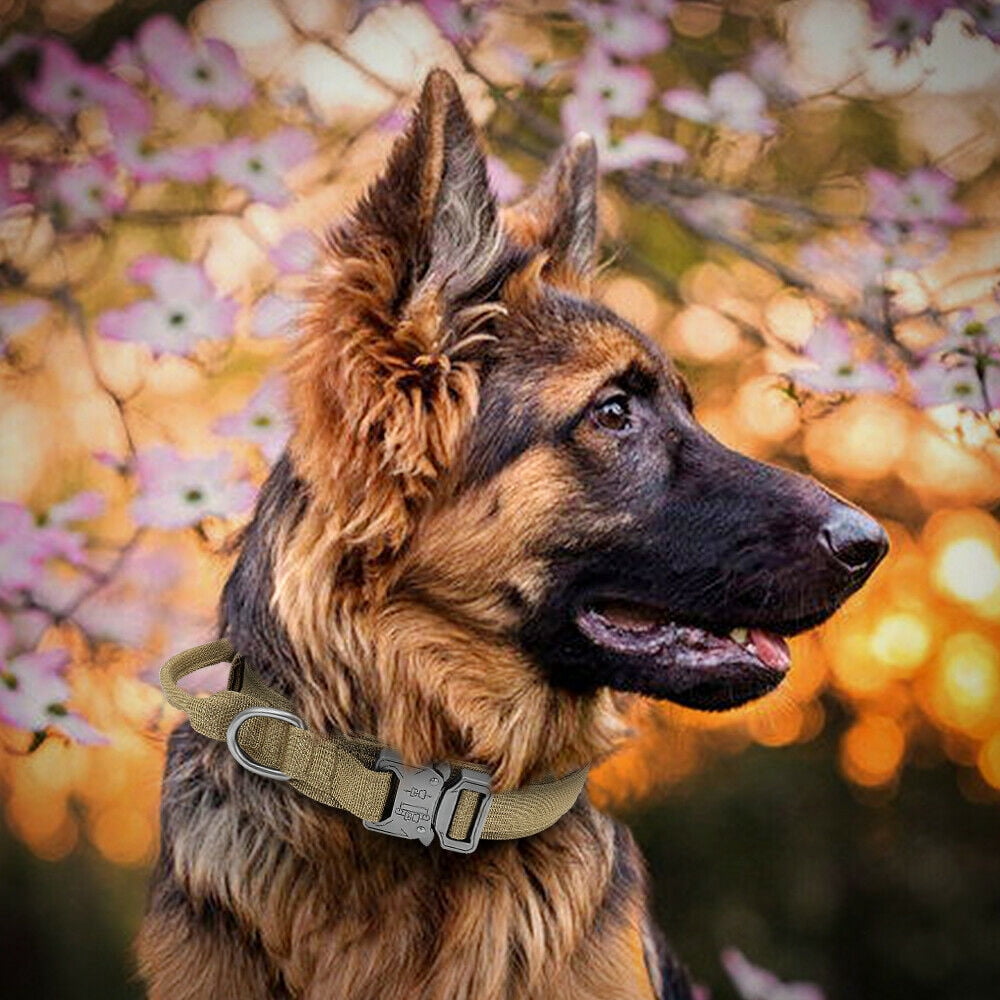 Didog Tactical Dog Collar with Control Handle - Dog Collar with Heavy Duty Metal Buckle & D-Ring - 1.5" Width Adjustable Nylon Dog Collar for Medium and Large Dog Training(Mud,XL)