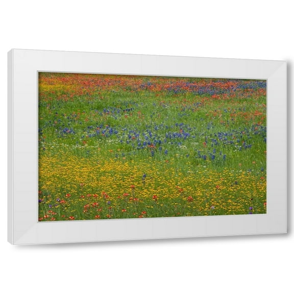 Adam Jones 4x14 White Modern Wood Framed Wall Art Titled - Meadow of red Texas Paintbrush and Purple-head Sneezeweed and bluebonnets