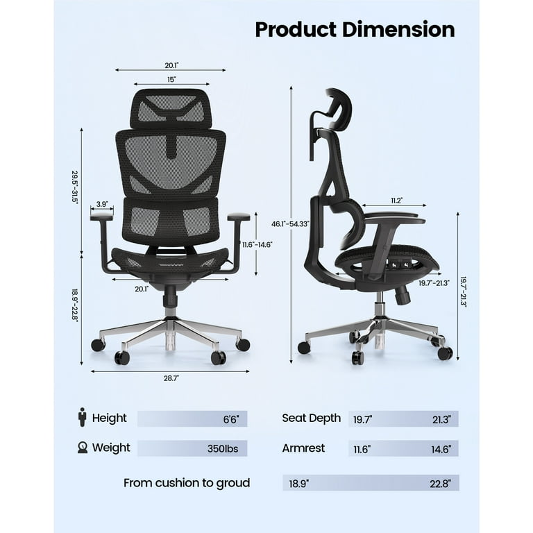 Ergonomic Mesh Home Office Chair High Back with Lumbar Support