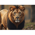 thumbnail image 3 of Realistic Lion Design Party Banner Backdrop Background Decorations for Safari Themed Parties Animal Celebrations Photography Props and Event Decor, 3 of 7