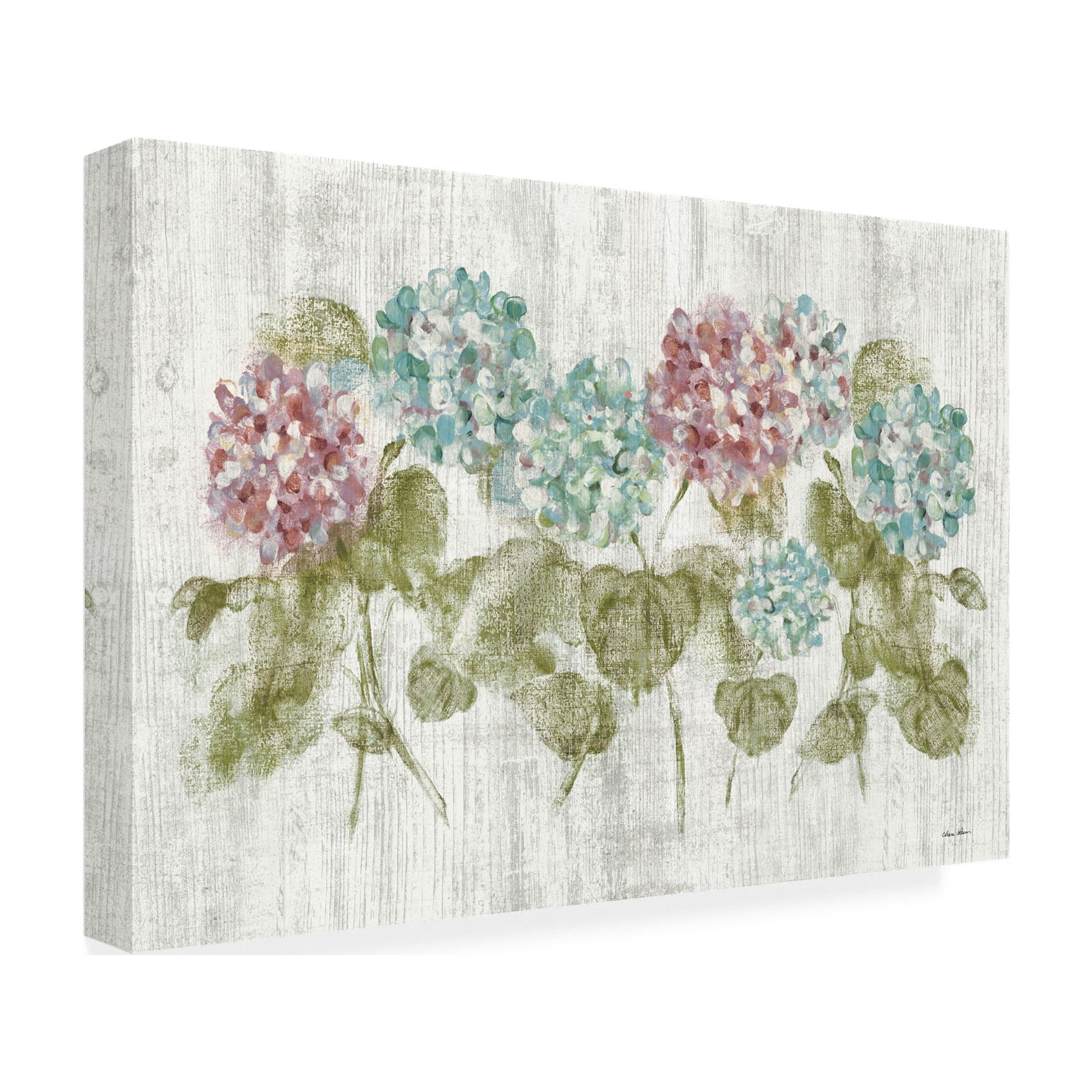 Cheri Blum 'Vibrant Row of Hydrangea on Wood' Canvas Art