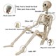 thumbnail image 5 of Decoraciones de Halloween Momax Esqueleto 3FT y 40cm de Plástico, 5 of 6