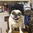 thumbnail image 4 of Curly Dog Wigs, Dog Cosplay Wigs, Pet Wigs for Halloween, Christmas, Parties, Festivals, Funny Headwear Apparel Toy for Cat Small Medium Large Dogs Black Curly Hair, 4 of 5