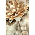 thumbnail image 2 of Brown, Denise 11x14 Black Ornate Wood Framed with Double Matting Museum Art Print Titled - Magnolia 2, 2 of 4