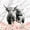 Gray Pink, variant on jejeloiu Teal Rose Cow Full Size Sheets Kids,Western Print Bed Sheets,4-Piece