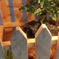 thumbnail image 3 of Diy Mascota Paisajismo Carbonizado Val De Artesanía Val De Estacas Para Tortuga Tortuga Animales Yuyangstore Cerca de piquete de madera de reptil de bricolaje, 3 of 8