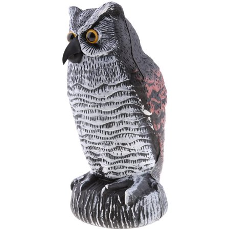 Realistic Owl Decoy – Scares Away and Repels Birds, Rabbits, Squirrels ...