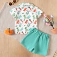 thumbnail image 5 of Toddler Boy Easter Outfit Baby Boys Summer Clothing Sets Button-Down Bow Tie Print T-Shirt with Shorts Set, 5 of 6